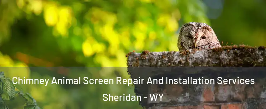  Chimney Animal Screen Repair And Installation Services Sheridan - WY