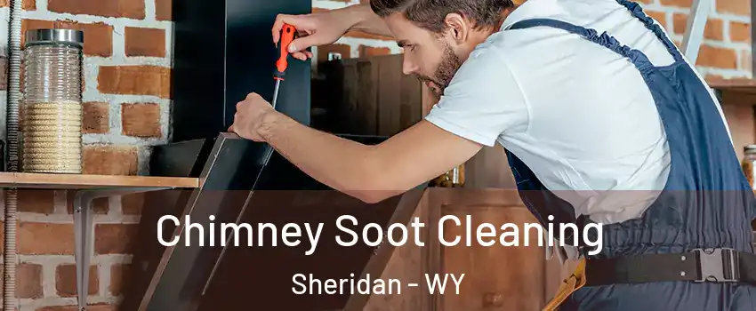  Chimney Soot Cleaning Sheridan - WY