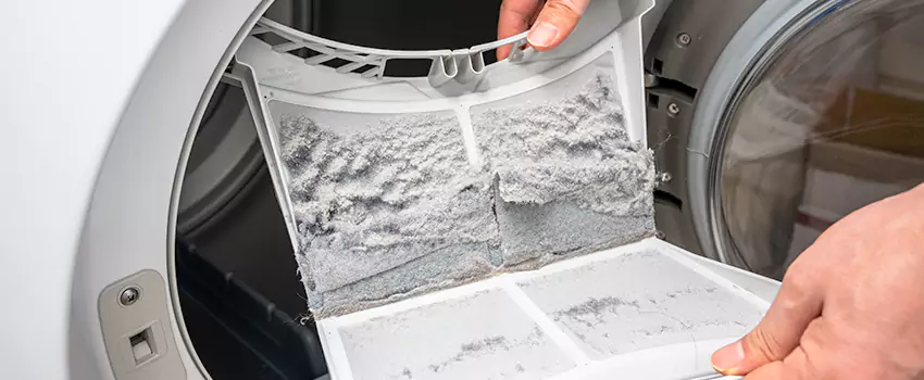 Best Dryer Lint Removal Company in Sheridan, Wyoming