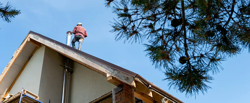 Birds Removal Contractors from Chimney in Sheridan, WY