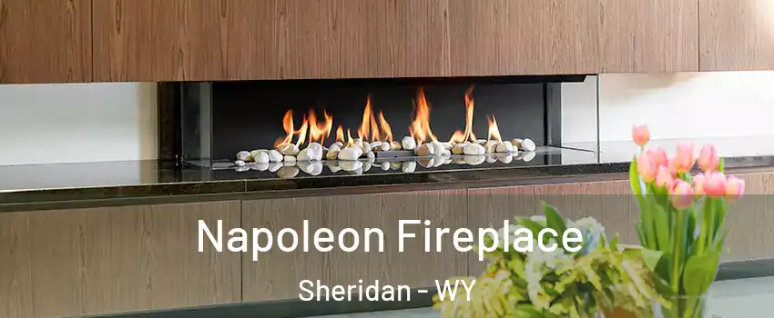  Napoleon Fireplace Sheridan - WY